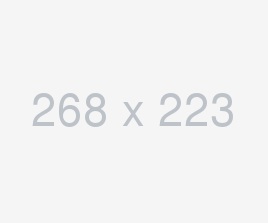 ደረቅ ጥብስ